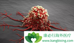 ������ע���ð�֢Ԥ����֢Ҫ����������Ϊ