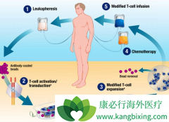 CAR-Tϸ�����Ƶľ��岽�����