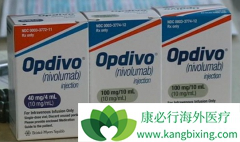 PD-L1�߱����CTCs������Ԥ��PD-1����Ч��