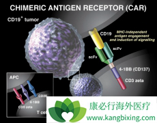 ϸ�������ͷ��ۺ����������CAR-T�Ʒ�������