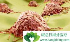 CRISPR��������ԭ��Tϸ������Ч�ó�PD-1