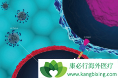 FDA����ҩ����ѯίԱ��ȫƱͨ��CAR-T�Ʒ�KYMRIAH����