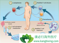 ���ڴ��ȵ����������Ʒ�CAR-Tϸ�����Ƶ�ԭ��