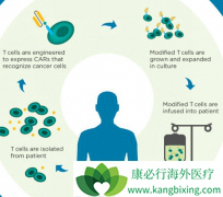 CAR-Tϸ��������ѪҺϵͳ�������кõ��ٴ���Ч