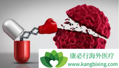 IDO����PD-1���ƺ�ɫ���������ٴ�ʧ��