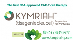 ����ͬ��CAR-T�Ʒ�����ҽ�������ض���֢����
