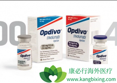 PD-1���Ƽ�����֢������������HIV