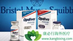 ԭ���Ը�ϸ�����ܷ�ʹ��PD-1���Ƽ�����