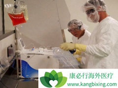 ע��ѪҺ��CAR-Tϸ������ֱ������������ϸ��