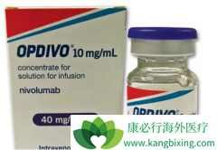 Opdivo(PD-1)ʹ16%���ڷΰ����������ڳ���5��