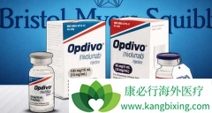 ���̵Ļ��߸����״�PD-1���������л���