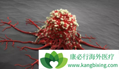 PD-1���Ƽ�����HIV����NSCLC���о�