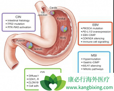 ���ڷ���Ƶ������Ӧ�����Ƿ������Ű�֢״