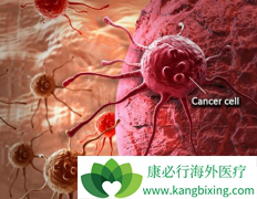 ������Ա�����о�Ϊʲô��֢�β���