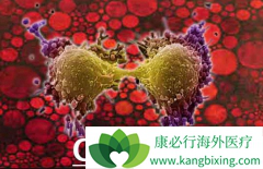 ��֢�����ܻ���ȡ���ڶ���ԭ��