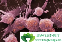 ���µİ�֢ת������Щת��;��