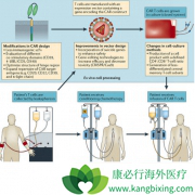 ������Allogene�����о�ͨ����CAR-T�Ʒ�