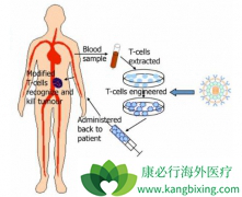 CAR-Tϸ��������Ŀǰ��ǰ�ص����������ֶ�