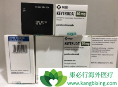 PD-1���Ƽ������߼������Ƽ���һ��