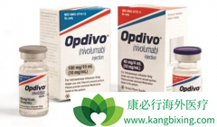 PD-1���Ƽ���ҩʹ�õ���Ч�ʽ���20%