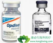 ����PD-1�������Ƹ��ΰ����ߴ����µ���������