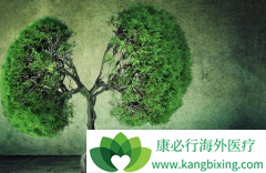 �ΰ������зΰ��������Ʒ�������Щ