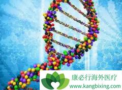 ���ڷΰ����߷ΰ����ڻ��ܻ�����