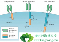 2017�����ذ���֢�����Ʒ�CAR-Tϸ�����Ƶ�Ԫ��