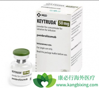 PD-1�������Ƽ�Keytruda����ͷ�����۰�Ч��