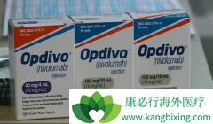 PD-1�������Ƽ�Opdivo�����ڶ��ְ�֢����