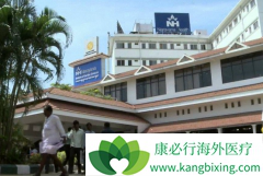 2018��ӡ��ҽ��������ҵ��������չ