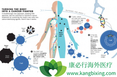 CAR-Tϸ���ľ�����������Ҫϸ������Ŀ�ԭ