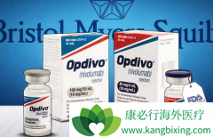 PD-1�Ʒ���Ϊһ�����ƿ���߷ΰ�����������