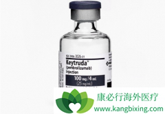 PD-1����PD-L1����NSCLC���ߵ���Ч�Ȼ��ƺ�