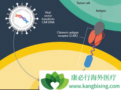 Yescarta(KTE-C10)��FDA��׼�ĵڶ���CAR-T�Ʒ�