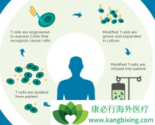 CAR-Tϸ���Ʒ�����Ϊ����ϣ�����˰�֢���Ʒ�֮һ