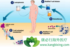 CAR-Tϸ���Ʒ��������Ҫ�������