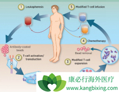 Kite����̽��CAR-Tϸ��������������֢�����Ǳ��