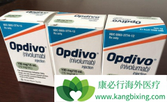 PD-1��Զ����������ƿ����Ը��Ʒΰ�����������