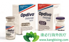 Opdivo(PD-1)�������ڷ�Сϸ���ΰ����ߵ��о�