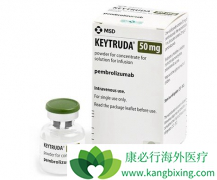 ����ͻ��ķΰ�����PD-1���Ƽ���һ���õ�ѡ��