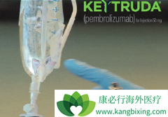 PD-1���Ƽ�Keytruda���ϻ��ƿɸ��Ʒ�Сϸ���ΰ�������