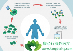 CAR-Tϸ������Ŀǰ�Ѿ���չ���˵�����