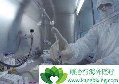 CAR-T���Ƶ��ռ�Ŀ�������۶����޶������õ���������