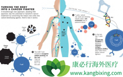 CAR-T�����������Ϳ��ܵĽ������