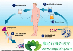 ����CAR-T�Ʒ�Kymriah��Yescarta������������
