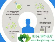 2017�굮�����׿��FDA��׼��CAR-Tϸ���Ʒ���