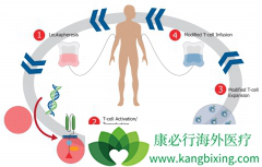 CAR-Tϸ��������һ����л�ʱ�������ͻ�Ƽ���