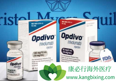 PD-1���Ƽ����帱���ñȴ�ͳ�ķŻ���С