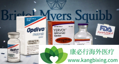 �������ƿ��Խ�һ�����PD-1���Ƽ����ư�֢����Ч��